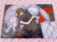 Vampire Knight Bonus Postcard Set 8, Rare Illustrations, Limited Edition, LaL
