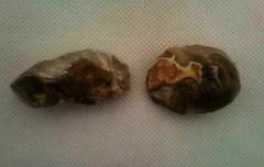 Lower Paleolithic Levallois technique 1.4MYO Jordan Valley Israel