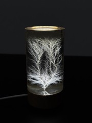 Litchenberg Figure 2” x 3” Cylindrical Acrylic (Engraving Available)