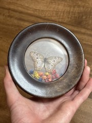 Wood Round Frame Butterfly Dried Flower Glass Gallery Wall Art VTG Brazil