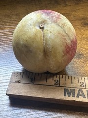 VINTAGE ALABASTER STONE FRUIT PEACH Nice Colors Veins Heavy Early