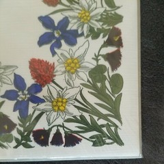 Rare Swiss WIDA Paper Vintage Serviettes & Swiss Placemats 25 Floral 2 Packs