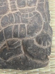STUNNING unknown figurative “India” Archaeological Plate!!!