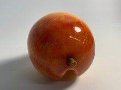 Vintage Alabaster Fruit Peach Apricot Exposed Pit Seed w/ Wood Stem