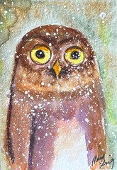 Original Watercolor Painting ACEO 2.5″ x 3.5″ by Mary King – Burrowing Owl