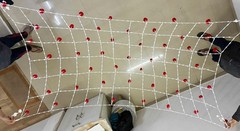 Indian Punjabi Bridal Entry Crochet Phoolon Ki Chaddar Wedding Flower Canopy