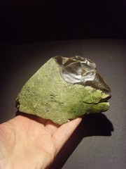 Lower Paleolithic – Large Acheulean oblique scraper. c.450,000 BP.