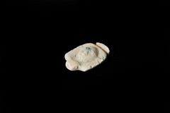 Nefertari Stone Face Statue Ancient Egyptian Relief Pharaonic Collectible Art BC