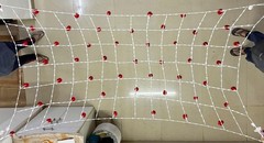 Indian Punjabi Bridal Entry Crochet Phoolon Ki Chaddar Wedding Flower Canopy