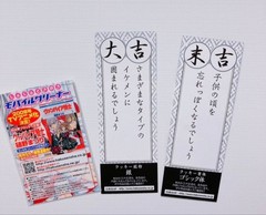 Vampire Knight Himatsuri Mobile Cleaner & Omikuji Shiori Set, Rare Collectible