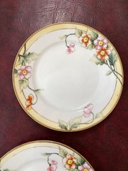 Set 7 Nippon Hand Painted 7.5” Dessert/Salad Plates Flowers Gold Detail 1900’s