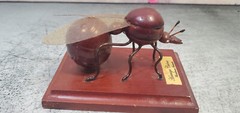 Hormiga Culona Florida Blanca santander Colmbia Art hand crafted teacher gift