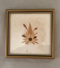 Pressed English Flowers Village Green Country Crafts England Framed Pair Signed