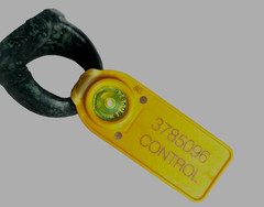 300 BC Authentic Ancient Roman hololith Ring Engraved Gemstone Bull MUSEUM GRADE