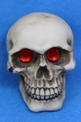 Small Ceramic Human Skull Realistic Occult Gothic Decor Display Oddity