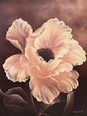 16 X 20 POPPY VINTAGE ORIGINAL OIL PAINTING CANVAS Artist SIGNED Impressionist