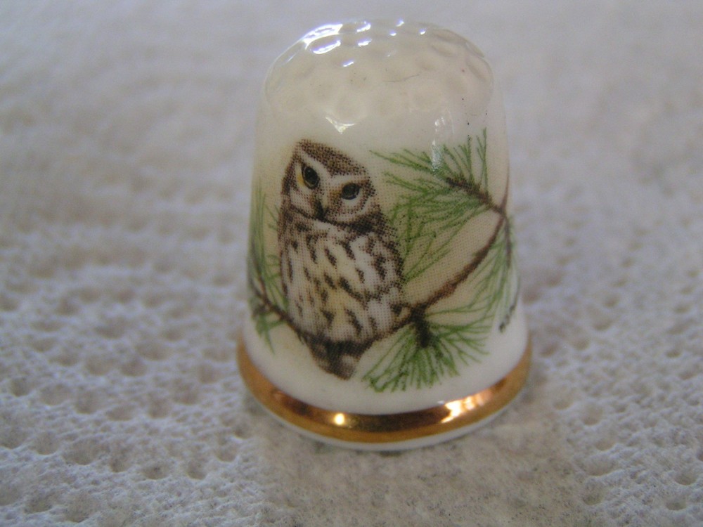 OAKLEY CHINA OWL