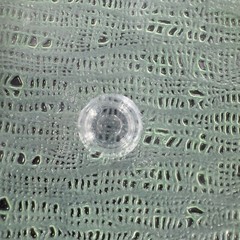 Anthropologie Cake Stand Footed Dish Flash Green Top Clear Bottom Cake Dish