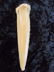 Antique Ceramic Flower Holder That Hangs on A Wall Made In Japan