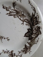 2 Vintage WHITE BROWN Transferware PLATES & TEAPOT Birds & Branches CRAZING