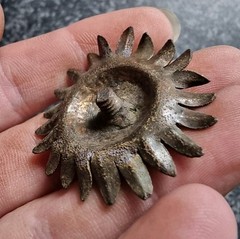 Post Medieval Sunflower Mount Metal Detecting Find Antique 36mm