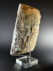 DETAILED ANCIENT N-EASTERN STONE FRAGMENT DEPICTING WINGED GENIE C 800-700 BC