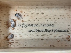 Hallmark Marjolein Bastin Nature’s Sketchbook Cardinal Birds Trinket Box 1990s