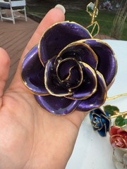 gold dipped rose steven singer