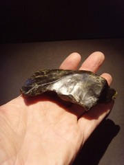 Lower Paleolithic – Fine Acheulean hooked scraper. c.450,000 BP.