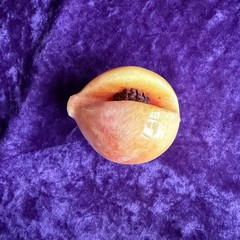 Alabaster 3″ Stone Fruit Peach Apricot Vintage Exposed Pit Seed Wood Stem