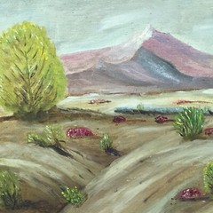Vintage Amateur Desert Mountain Plein Air Landscape Oil Painting Unframed Issues