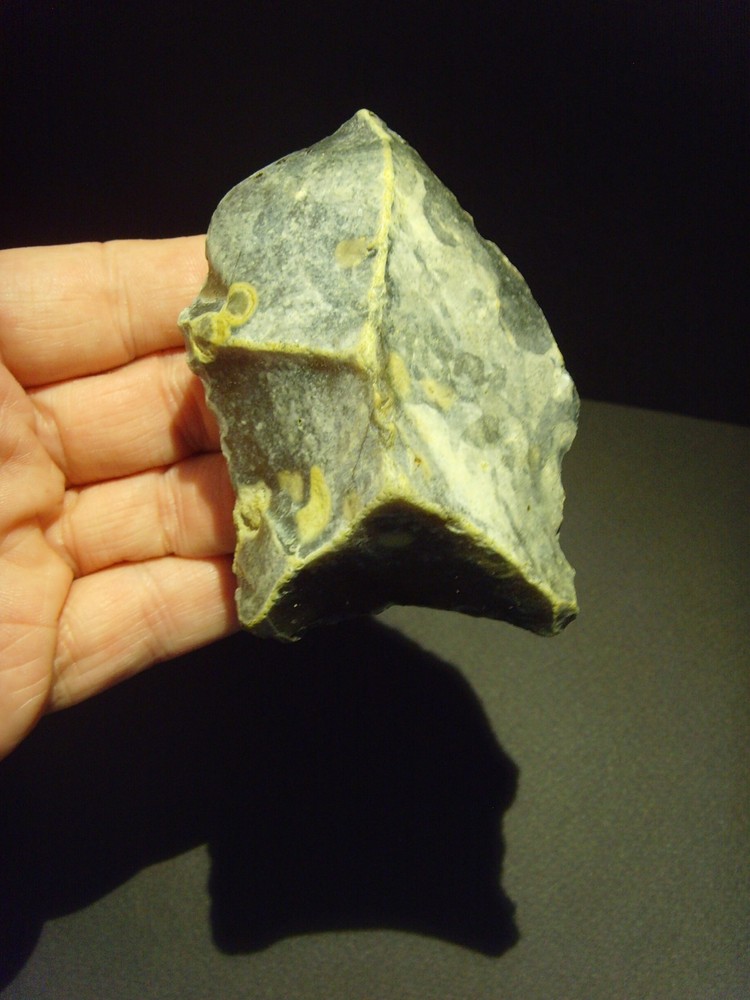 Lower Paleolithic – Fine Acheulean ‘Radial’ scraper. c.450,000 BP.