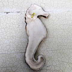Seahorse Hippocampe Modernist Ceramic Wall Plaque Polychrome era Amphora