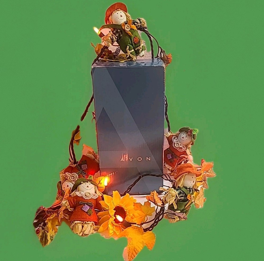 Boxed Lighted Harvest Garland Scarecrows Sunflowers Orange Light Set W/ Box Avon