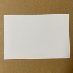 Vampire Knight Shuriken & Pleats Vol 1 Anime Bonus Illustration 14+