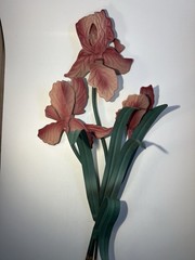 Vintage Toleware Metal Iris Pair