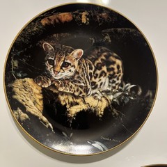 Charles Fracé Wild Innocents COMPLETE Set 4 Plates Lion Tiger Leopard Cheetah