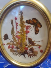 VTG Reichlin Switzerland Pressed Flower Butterfly Art Gold Oval Frame H Kirsch