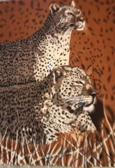 Vintage 😊 Rare fleece thin blanket 58” x 47” Two Leopard Cats￼ Brown Fun