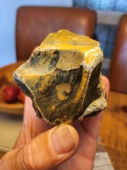 “Rare” lower Paleolithic multi platform core see description
