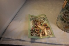 NWT Boyds Bears Loyal Order of Friends of Boyds MUG Sunny Day Sunflowers Seeds