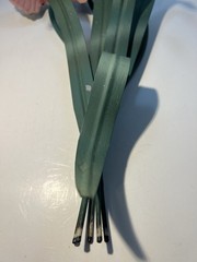 Vintage Toleware Metal Iris Pair