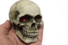 Small Ceramic Human Skull Realistic Occult Gothic Decor Display Oddity