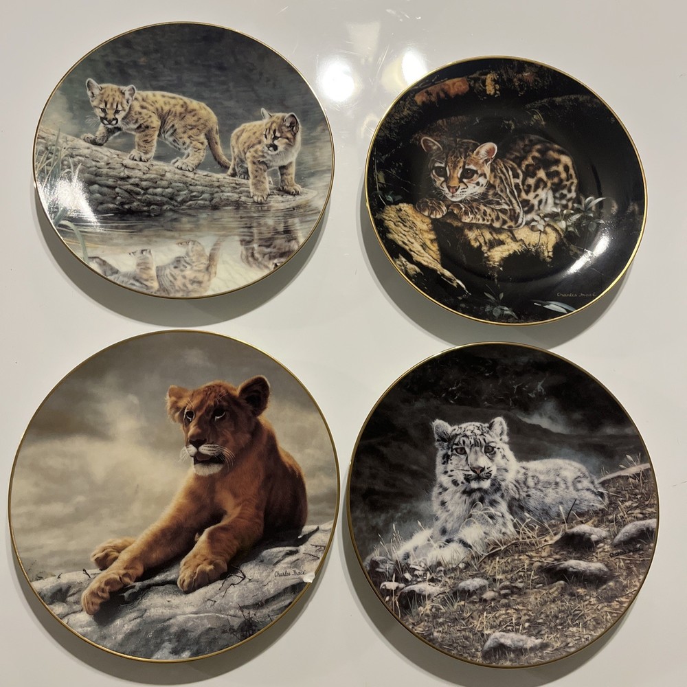 Charles Fracé Wild Innocents COMPLETE Set 4 Plates Lion Tiger Leopard Cheetah