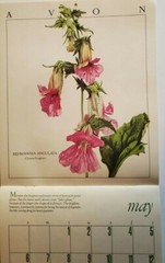 Vintage Avon Edwardian Flowers 1990 Calendar