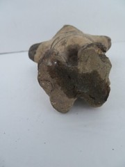 Pre Columbian Peru Warrior Head on Stand