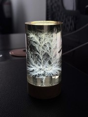 Litchenberg Figure 2” x 3” Cylindrical Acrylic (Engraving Available)