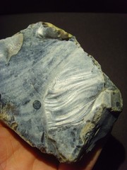 Lower Paleolithic – Early Acheulean scraper. c.450,000 BP.