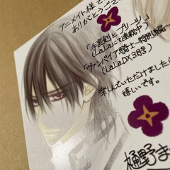Vampire Knight Shuriken & Pleats Vol 1 Anime Bonus Illustration 14+