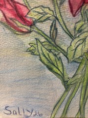 Watercolor Original Painting By Sally Harrison Roses Size 12”x9” Unframed